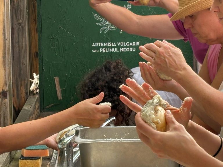 Atelierul Culinar cu Noemi Hügel la Grădinescu