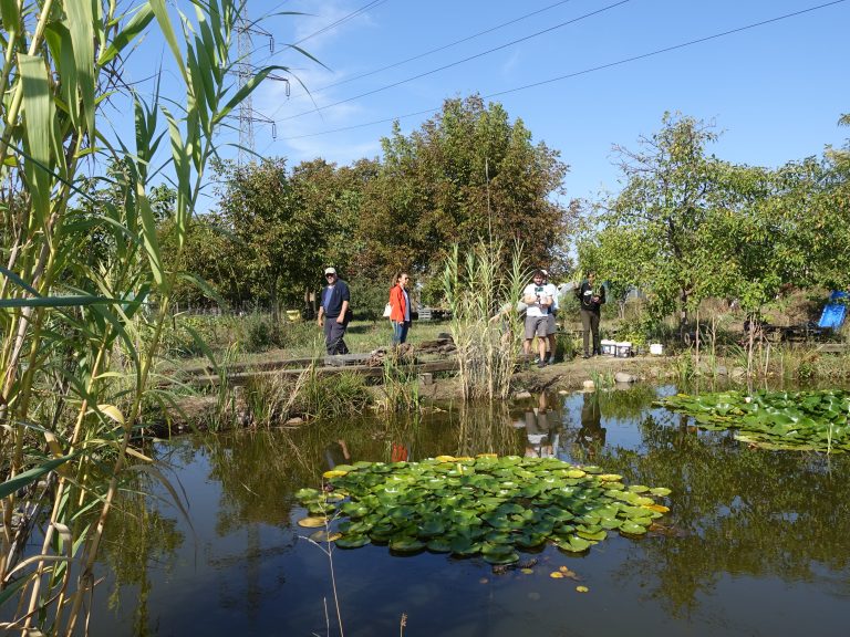 Atelierul de ecologie acvatică la iazul Grădinescu